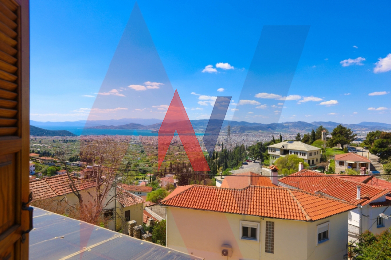 Μονοκατοικία στην Ανακασιά, Ιωλκός — Φωτογραφία 5 από 27