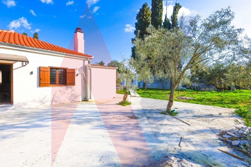 Μονοκατοικία στην Βροχιά, Αγριά — Φωτογραφία 2 από 25
