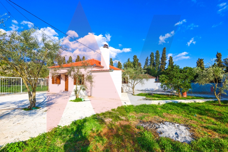 Μονοκατοικία στην Βροχιά, Αγριά — Φωτογραφία 6 από 25
