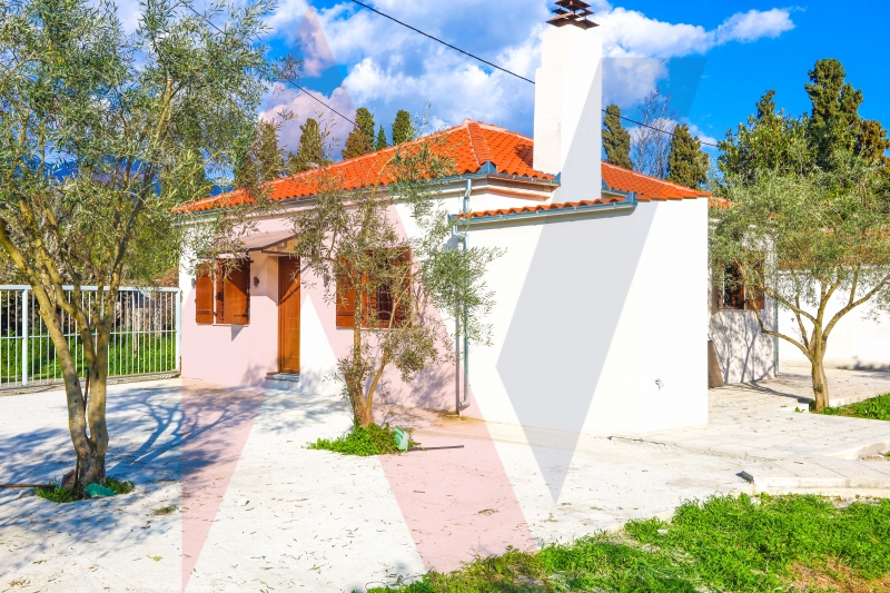 Μονοκατοικία στην Βροχιά, Αγριά — Φωτογραφία 3 από 25