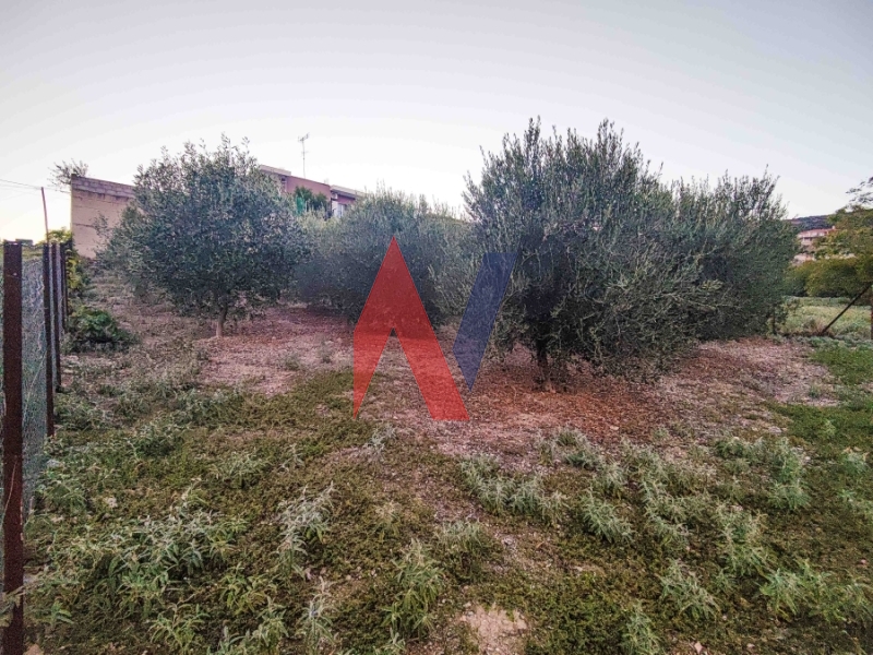 Οικόπεδο στην Μικροθήβες, Νέα Αγχίαλος — Φωτογραφία 4 από 9