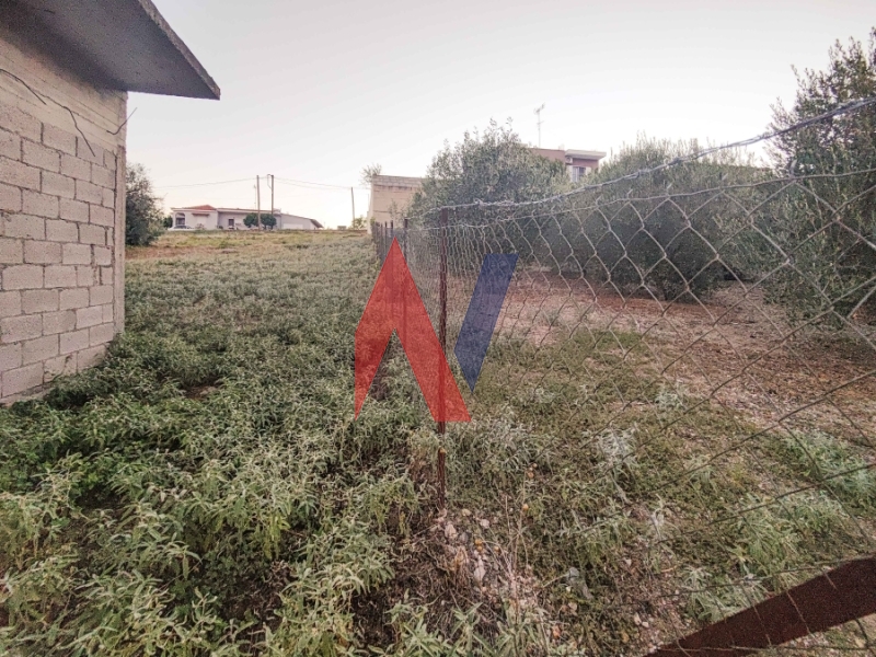Οικόπεδο στην Μικροθήβες, Νέα Αγχίαλος — Φωτογραφία 6 από 9
